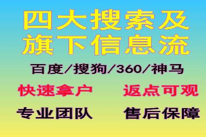 SEM托管服务，成功案例深度分析